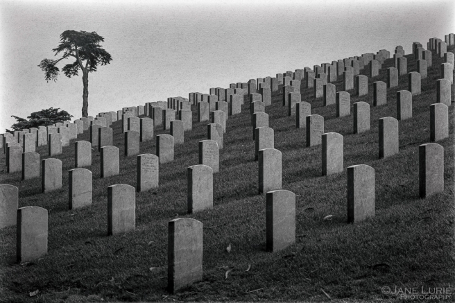 Cemetery, War, Photography, San Francisco, Gravestones, Remembrance, Nikon, Fujifilm X-T2, California