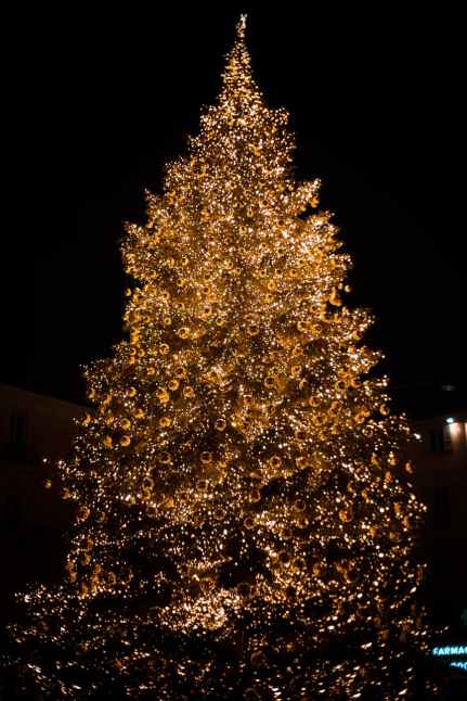 photo of lighted christmas tree at night