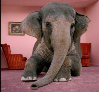 elephant-living-room1