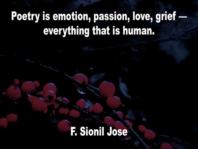 The image shows a spray of red berries on a black background on which a Poetry Is Box quotation by F. Sionil Jose is written. It speaks of poetry being about emotion, passion, love, grief; everything that is  human.